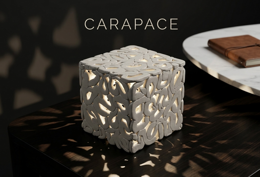Lampada Carapace | Artigianale su Ordinazione