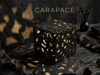 carapace black feng shui
